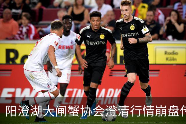 阳澄湖大闸蟹协会澄清行情崩盘传言：正宗阳澄湖大闸蟹供需平稳